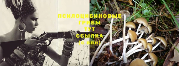спайс Арсеньев