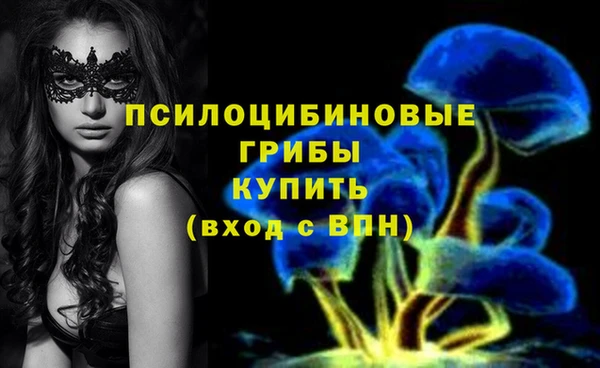 спайс Арсеньев